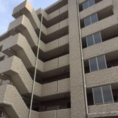 全46邸の建物(外観) 全46邸の建物(外観)