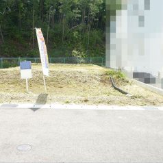 現地写真(外観)