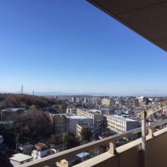 バルコニーからの眺望